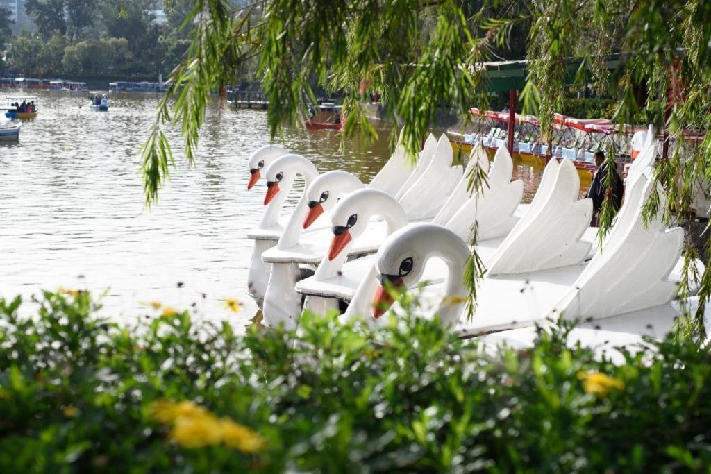 The Plaza Lodge Baguio Baguio City Екстер'єр фото